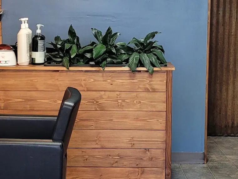 Peace lilies growing along the pine counter under the blue wall