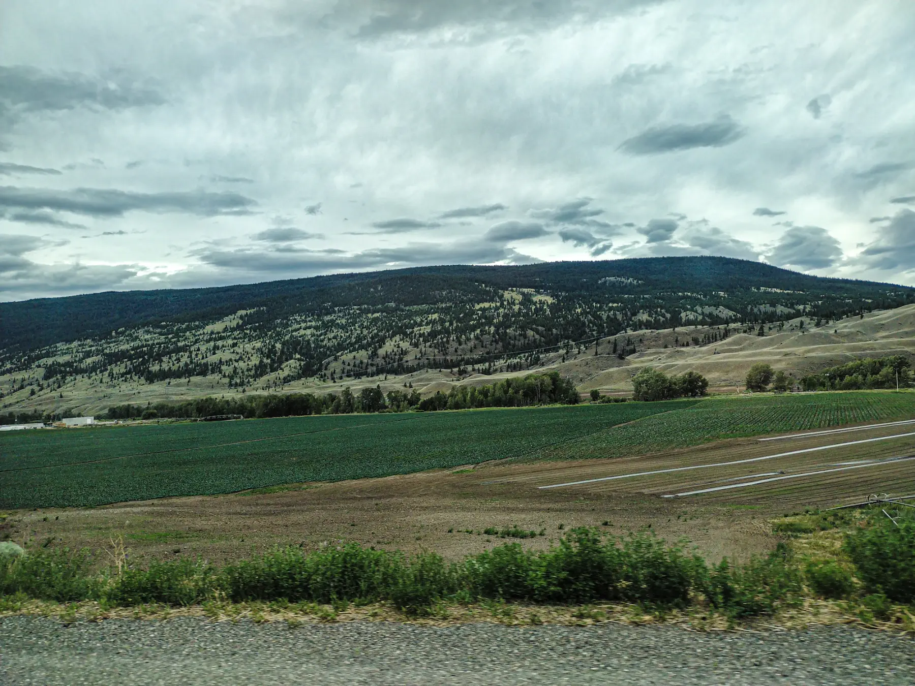 Farm fields and dry hills in a British Columbia valley